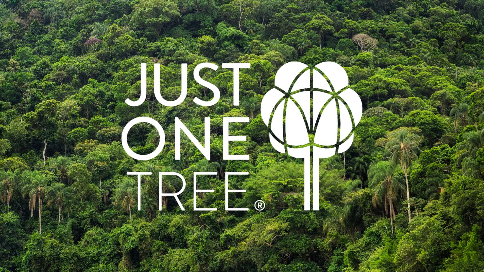 JUST ONE Tree Partnership | Trident Fire Compliance